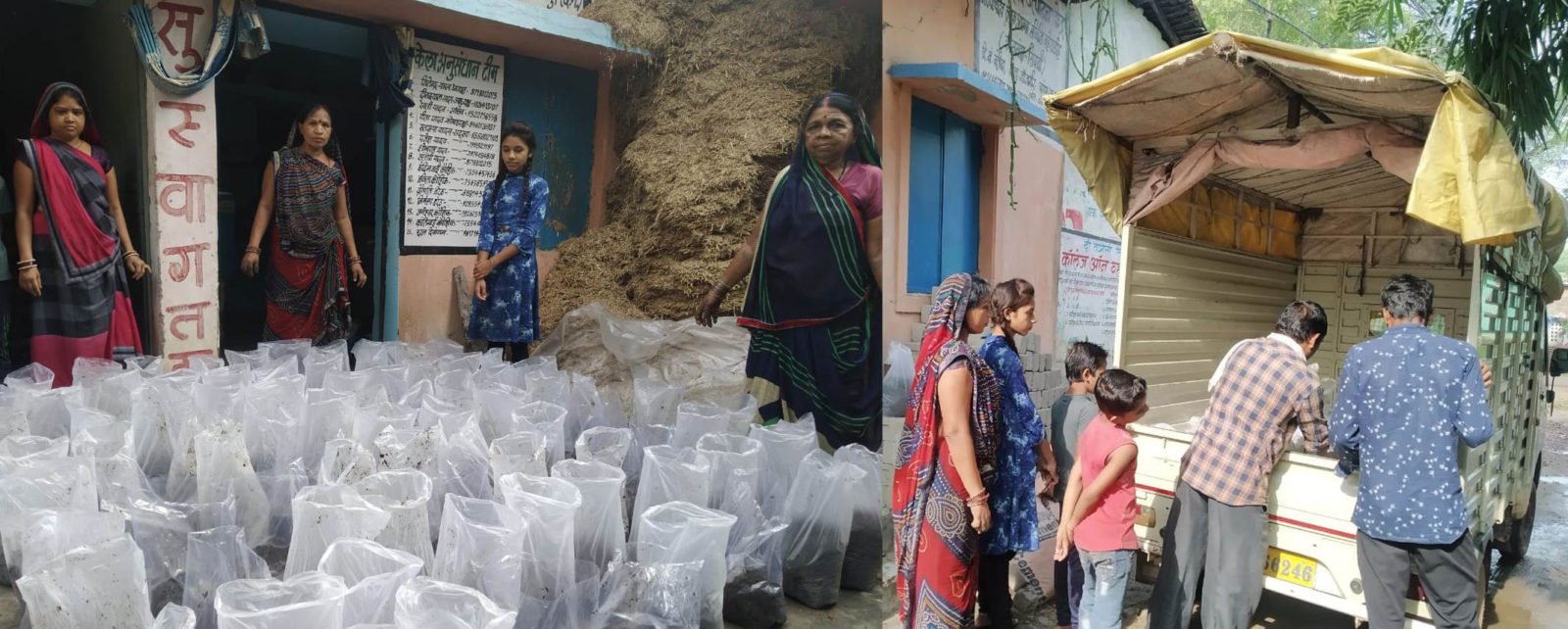 पुष्पा ने गोबर, केंचुआ और जैविक खाद बेचकर कमाए तीन लाख रुपये