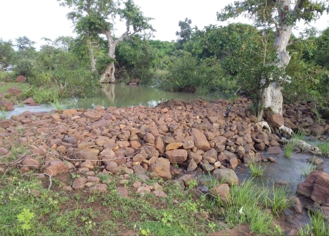 नरवा विकास योजना से बलौदाबाजार और मुंगेली के कई गांव हो रहें है लाभान्वित’