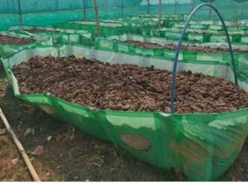 समितियों के माध्यम से 7 लाख 59 हजार क्विंटल जैविक खाद का उठाव