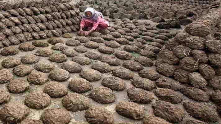 kisano-se-gobar-kharid