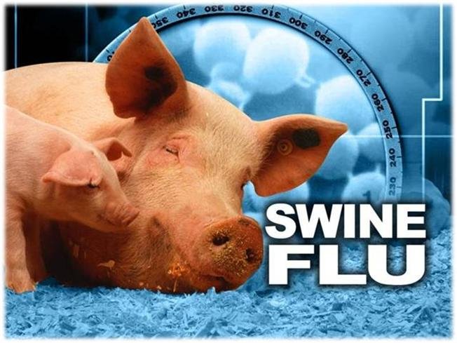 राजधानी में स्वाइन फ्लू की दस्तक, 4 मरीजों में पुष्टि