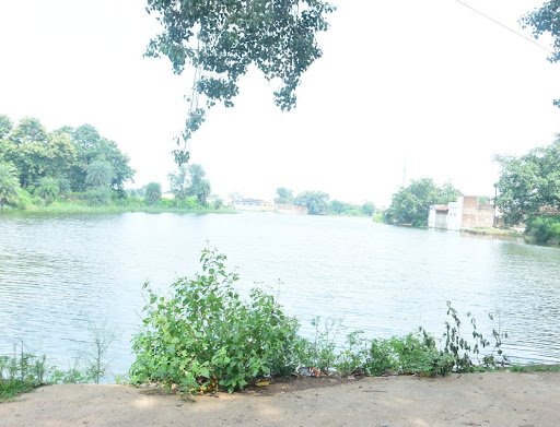 धमधा के मृत प्राय तालाबों को मिला नया जीवन