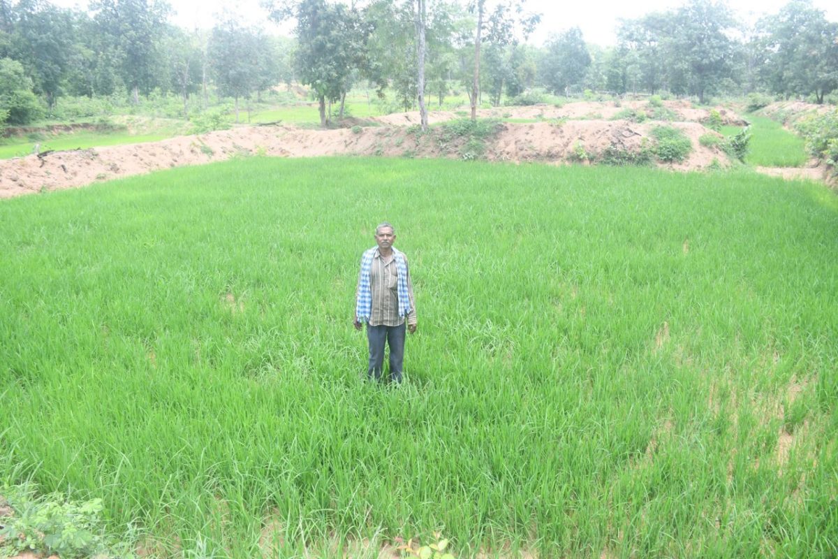 van adhikar, वन अधिकार मान्यता पत्र प्राप्त कृषक भय मुक्त खेती कर रहे 
