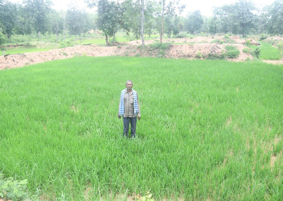 van adhikar, वन अधिकार मान्यता पत्र प्राप्त कृषक भय मुक्त खेती कर रहे 