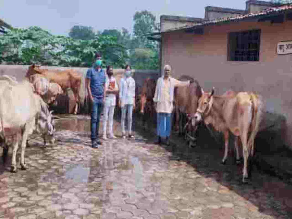 गांव में दूध की कमी ने अमीरचंद को बनाया सफल डेयरी उद्यमी