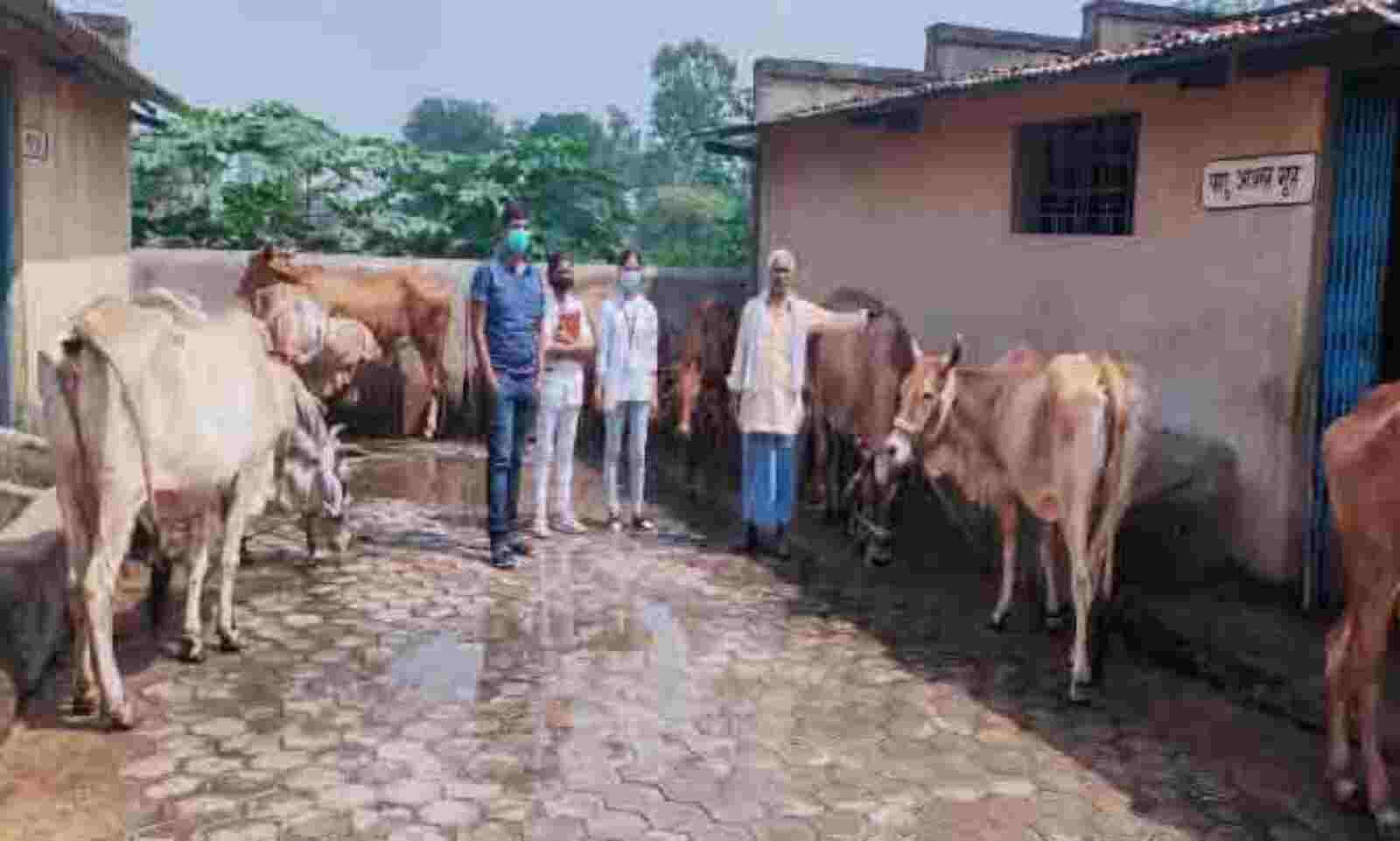 गांव में दूध की कमी ने अमीरचंद को बनाया सफल डेयरी उद्यमी