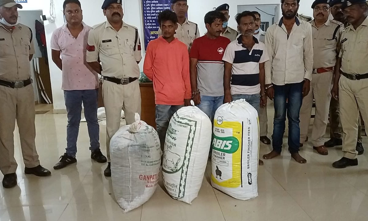 सब्जी कैरेट में गांजा तस्करी करने वाले पकड़े गए: 4 लाख के गांजे के साथ 4 गिरफ्तार