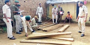 पांडुका से 27 नग बीजा चिरान जब्त