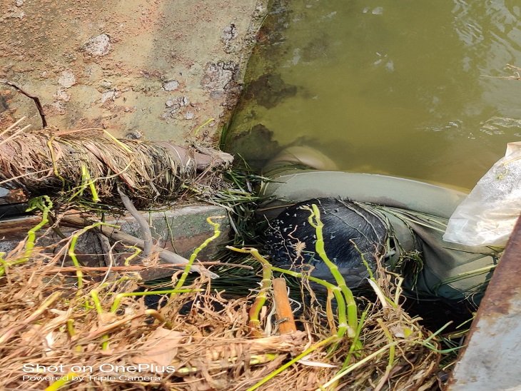 भिलाई स्टील प्लांट के मैनेजर ने किया शिवनाथ नदी में कूदकर दी जान