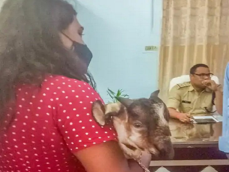 मरीमाई मंदिर में फिर शुरू हुई बलि प्रथा