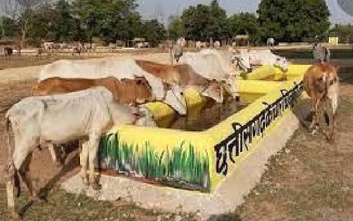 गौठानों में निर्मित वर्मी कम्पोस्ट के उठाव में तेजी लाए: कलेक्टर