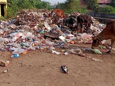 जोन टू में पसरी गंदगी, बीमारी का खतरा