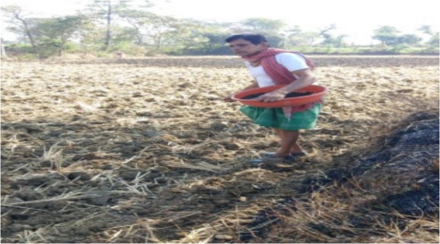 रायपुर : जैविक खेती और दलहन-तिलहन से किसानों में आ रही अर्थिक समृद्धि
