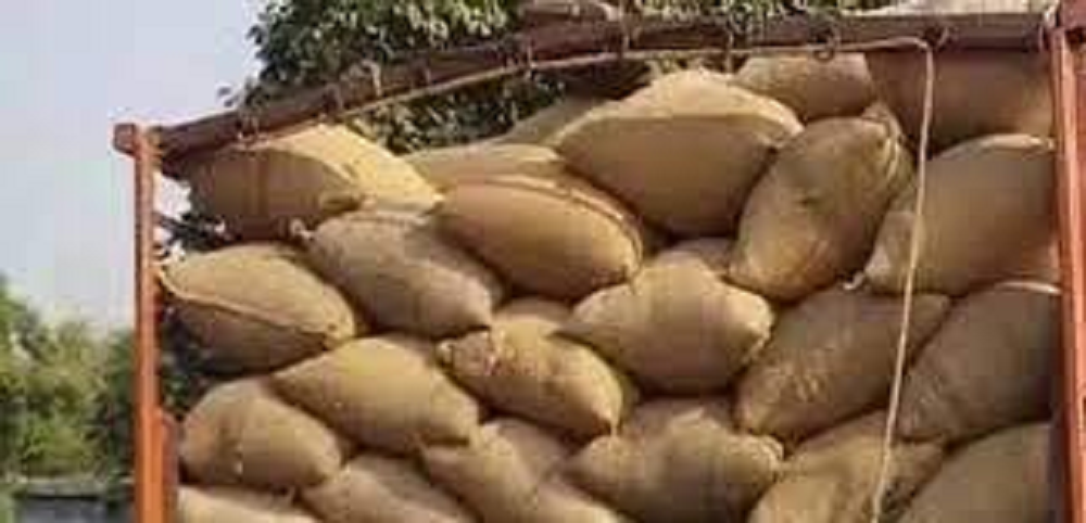 अवैध धान परिवहन पर कार्रवाई