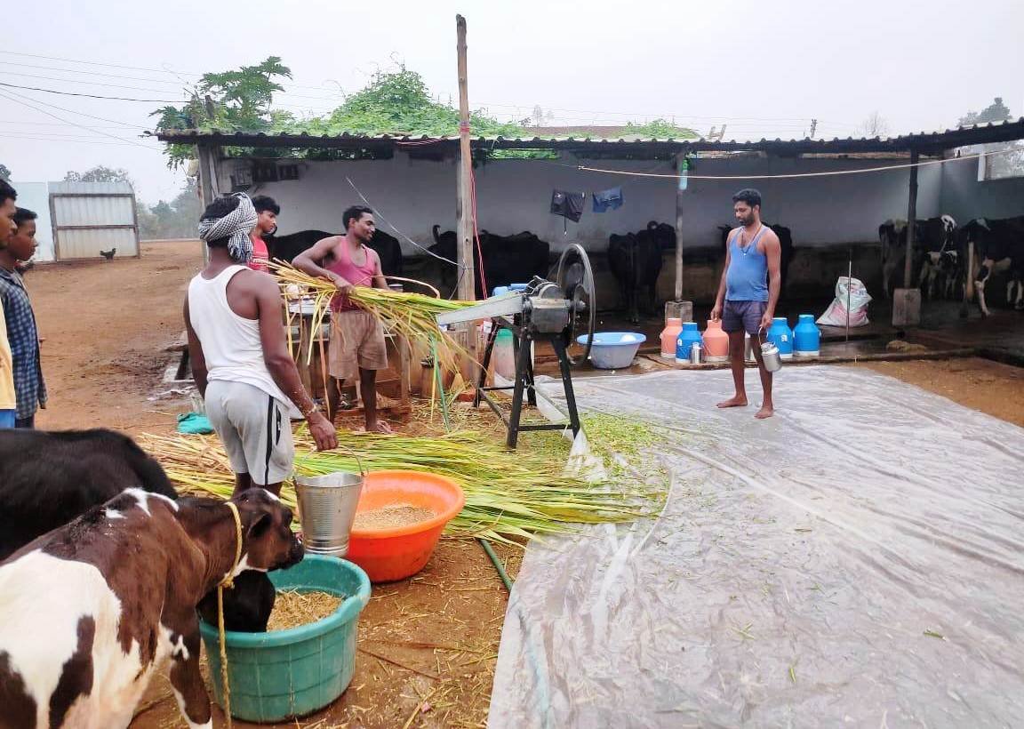 कोशिशों से बदली जिन्दगी, डेयरी व्यवसाय के सफल उद्यमी के रूप में हुए स्थापित