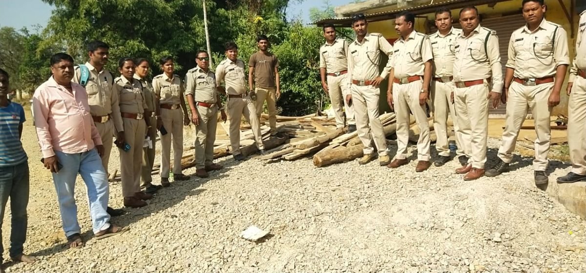 दो आरोपियों के घर 170 नग सागौन आदि लकड़ी के चिरान की जब्ती