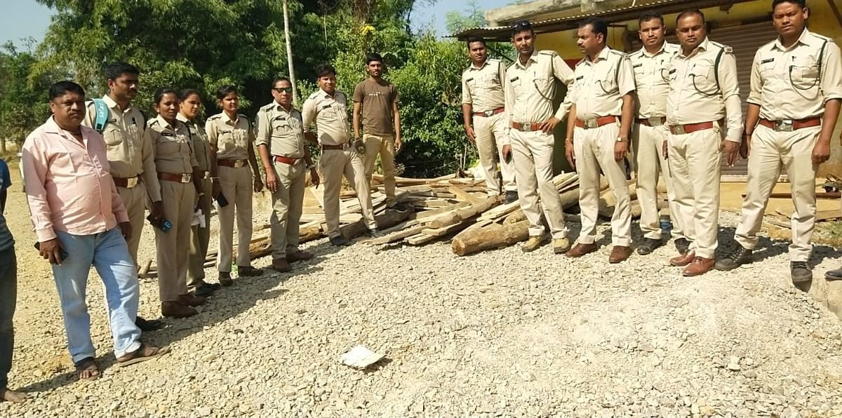 दो आरोपियों के घर 170 नग सागौन आदि लकड़ी के चिरान की जब्ती