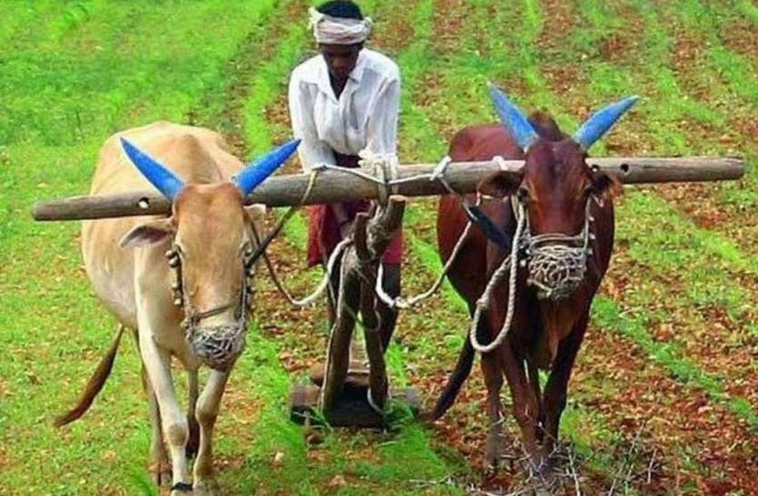 राजीव गांधी ग्रामीण भूमिहीन कृषि मजदूर न्याय योजना: 4.41 लाख से ज्यादा आवेदन