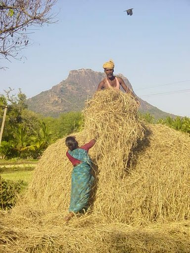 पंचायत स्तर पर शुरू होगा ‘पैरादान महाअभियान’