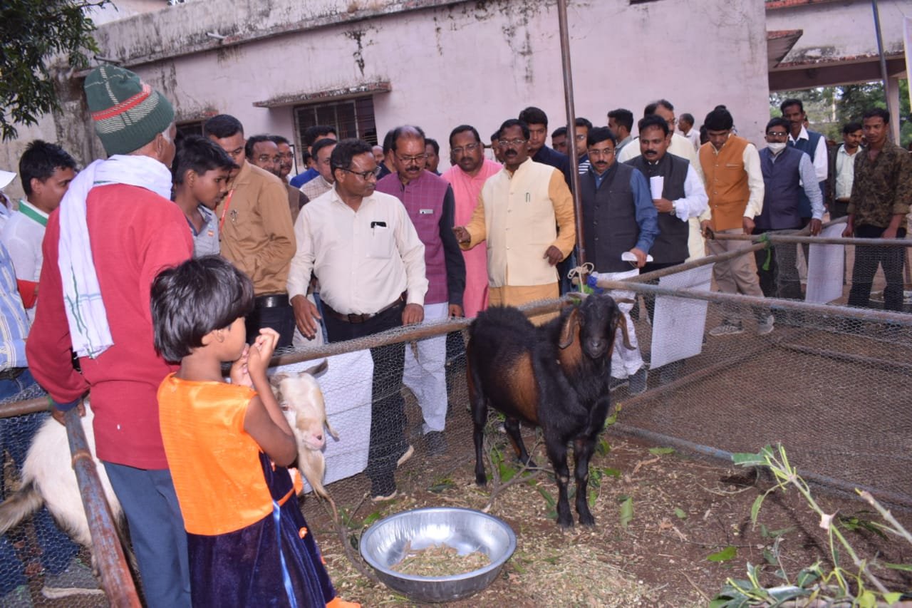 पशुपालन किसानों के लिए अतिरिक्त आय का सशक्त जरिया: भगत