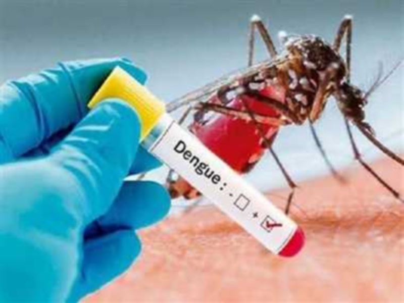 डेंगू: साफ जगहों में मिल रहे नए मरीज, अब तक 20 संक्रमित