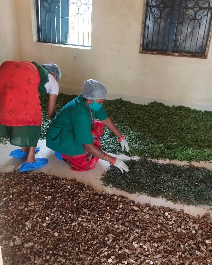 राज्य सरकार न्यूनतम समर्थन मूल्य पर 07 से बढ़ाकर 52 लघु वनोपजों की कर रही खरीदी