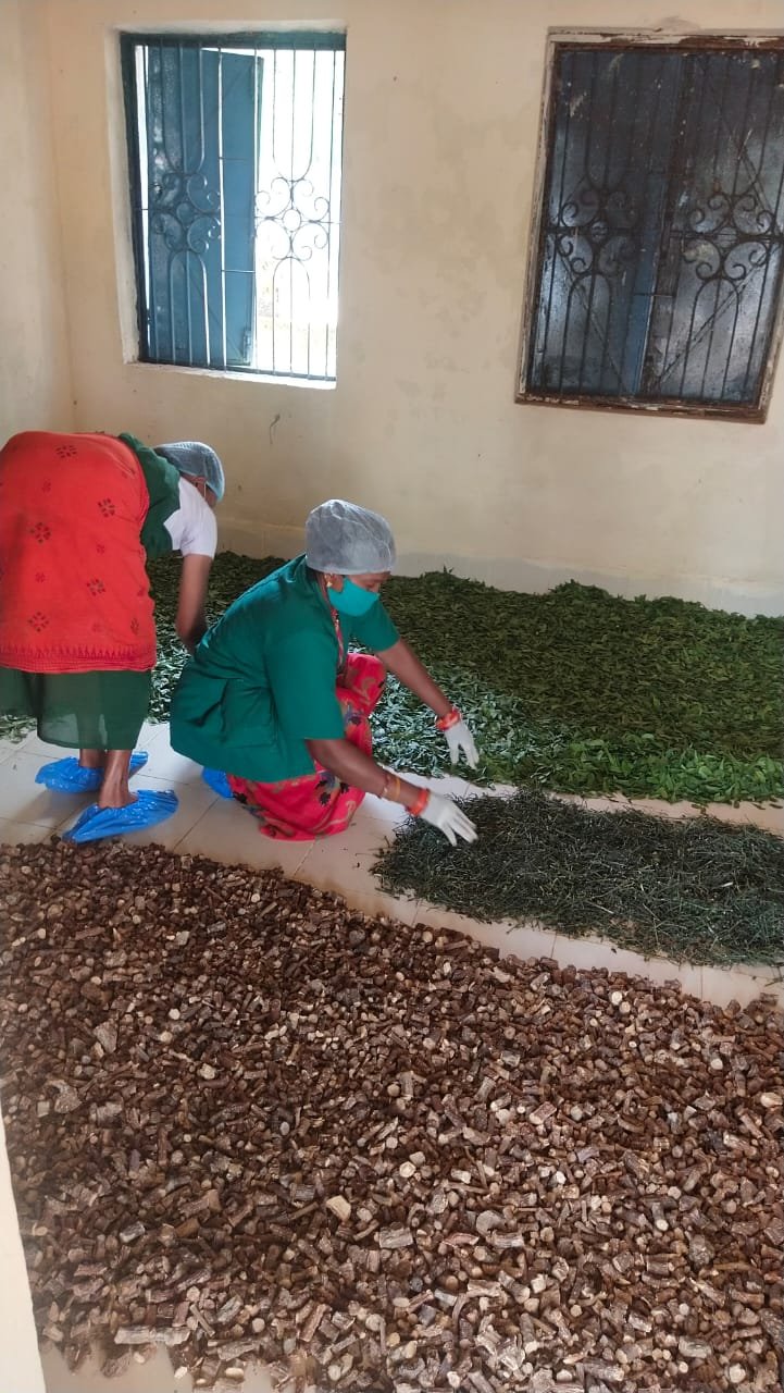 राज्य सरकार न्यूनतम समर्थन मूल्य पर 07 से बढ़ाकर 52 लघु वनोपजों की कर रही खरीदी