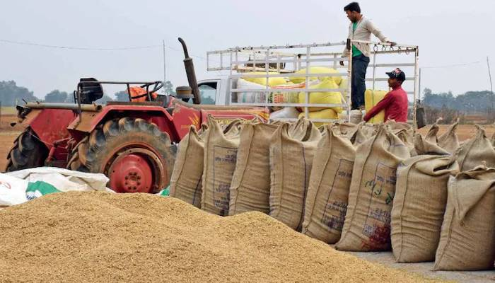 धान खरीदी, नियंत्रण कक्ष स्थापित