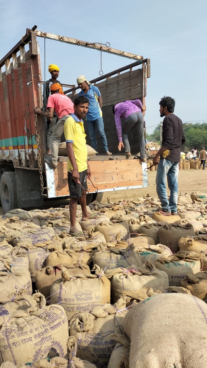 समर्थन मूल्य पर धान खरीदी शुरु होते ही समितियों से प्रारंभ हुआ धान का उठाव