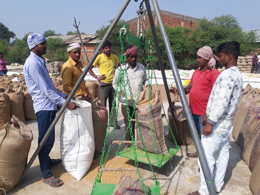 राज्य में धान खरीदी के पहले दिन 30 हजार 85 किसानों ने बेचा धान