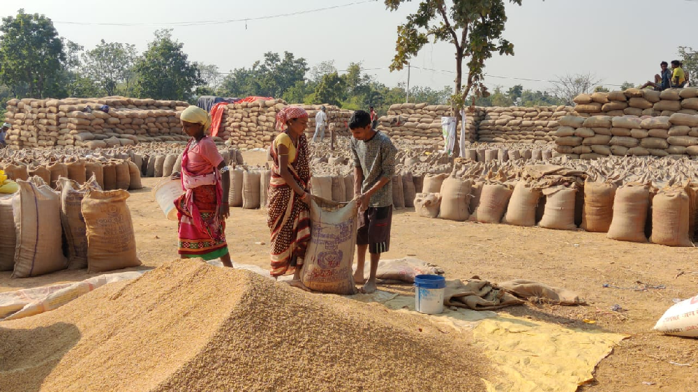 12.30 लाख किसानों ने बेचा धान