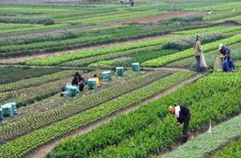 किसानों को दी कृषि की नवीन तकनीकी की जानकारी