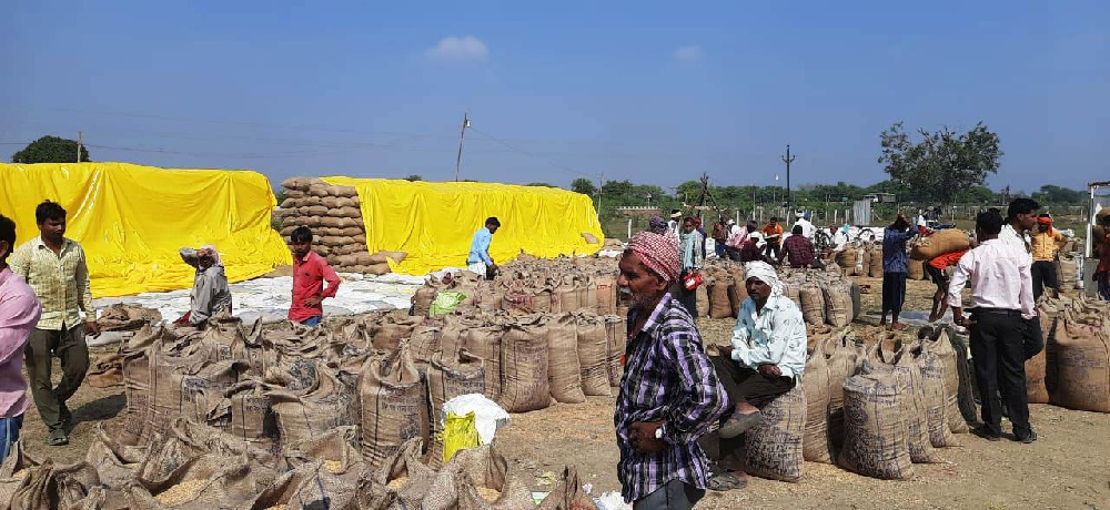 आंकड़ा 31.14 लाख मीटरिक टन से पार