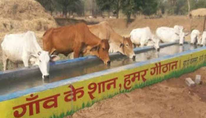 Gauthan, राज्य के 2029 गौठान हुए स्वावलंबी