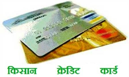 Kisan credit card, किसान क्रेडिट कार्ड बनाने 15 फरवरी तक अभियान