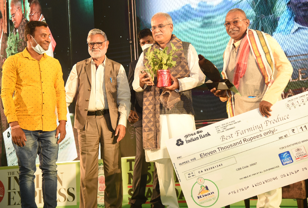 छत्तीसगढ़ में ईजाद हुआ सर्वाधिक लंबाई के बैंगन निरंजन का