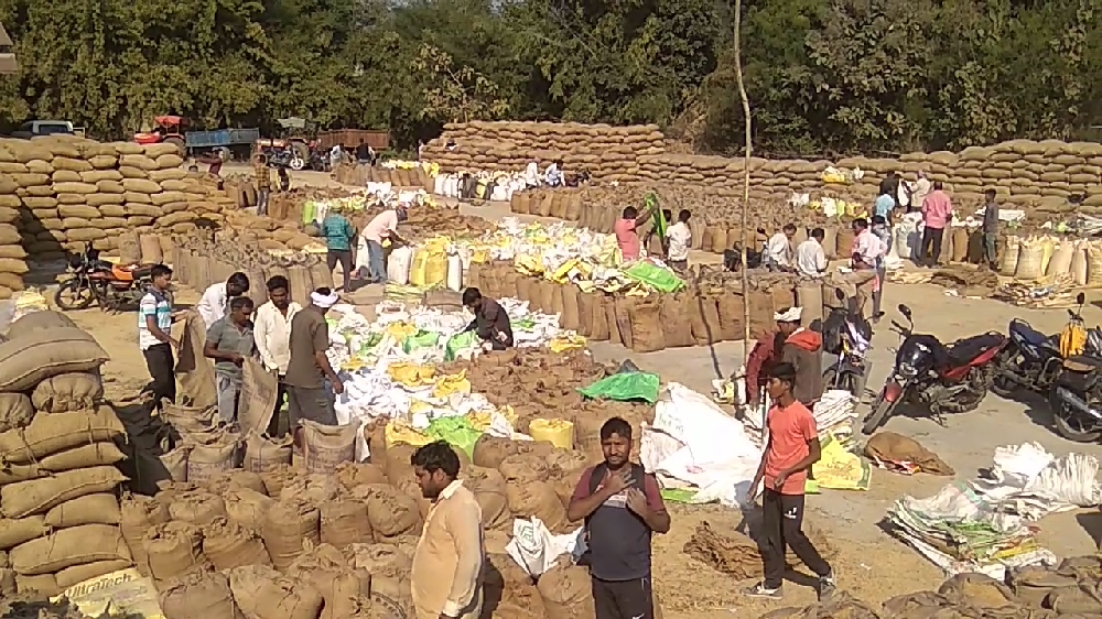 58.38 लाख मीटरिक टन धान की खरीदी