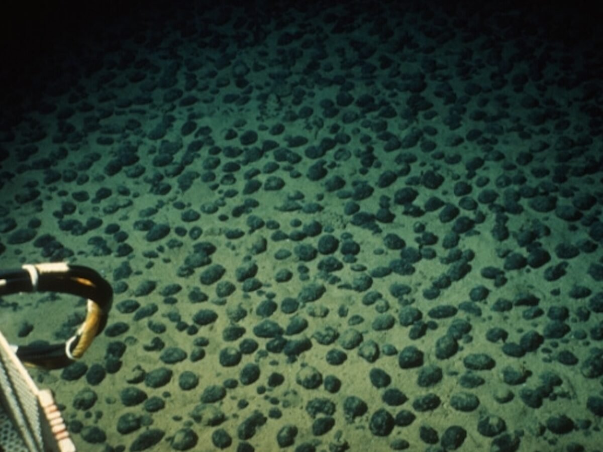 गहरे महासागर में 'डार्क ऑक्सीजन' की क्रांतिकारी खोज: जीवन की उत्पत्ति और पर्यावरणीय प्रभाव पर नई जानकारी