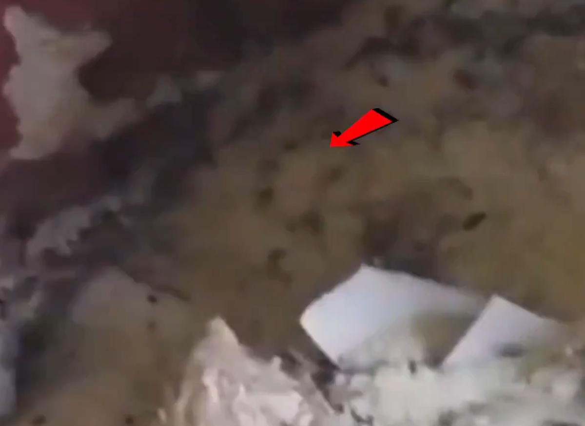 सूरजपुर में राशन वितरण में घटिया चावल: वायरल वीडियो ने बढ़ाई स्थानीय लोगों की चिंता