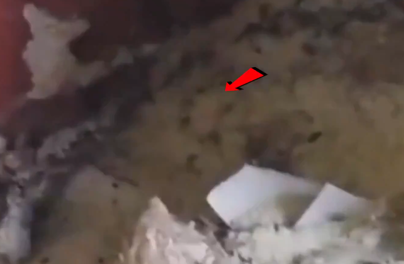 सूरजपुर में राशन वितरण में घटिया चावल: वायरल वीडियो ने बढ़ाई स्थानीय लोगों की चिंता