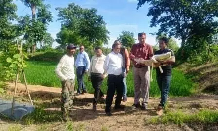 राजनांदगांव में राजस्व शिविर का निरीक्षण, लौकी की खेती करने वाले किसान को प्रोत्साहन