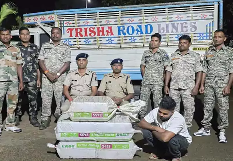 कोंडागांव: 1 क्विंटल से ज़्यादा गांजा के साथ एक तस्कर गिरफ्तार!