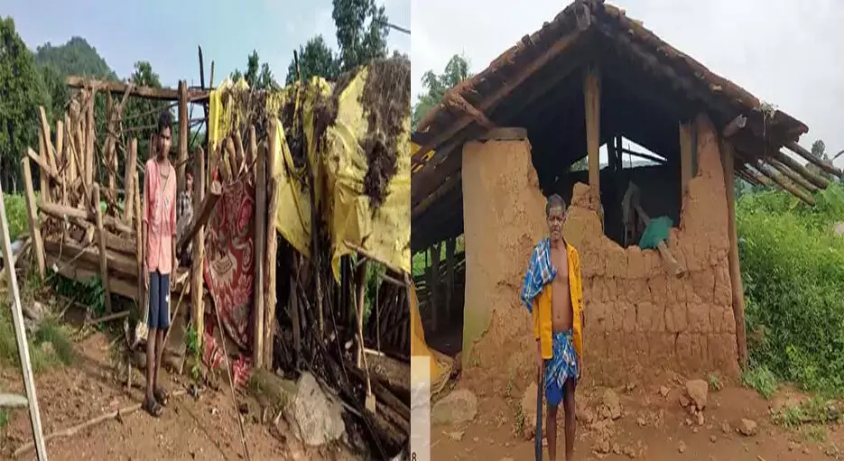 रायगढ़: गोतमी हाथी दल ने धरमजयगढ़ के गांव में मचाया उत्पात, सात घर तोड़े, फसल को नुकसान!