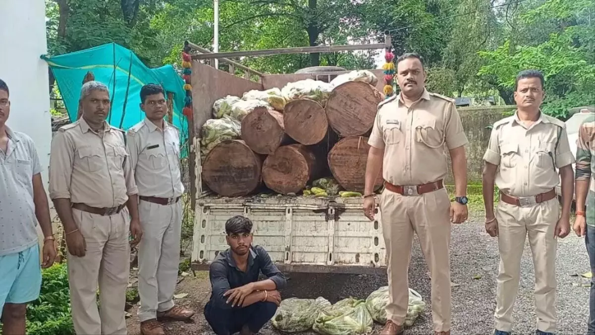 बलरामपुर में खीरा की आड़ में लकड़ी तस्करी का भंडाफोड़, एक गिरफ्तार