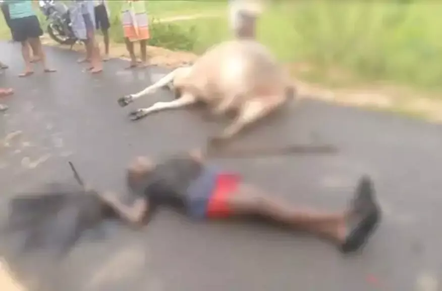 सरगुजा संभाग में झमाझम बारिश, सूरजपुर में गाज गिरने से एक व्यक्ति और एक बैल की मौत, तीन झुलसे!