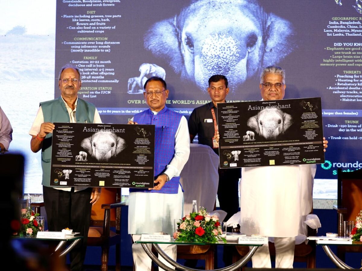 विश्व हाथी दिवस 2024: भारत की अग्रणी भूमिका और छत्तीसगढ़ का योगदान
