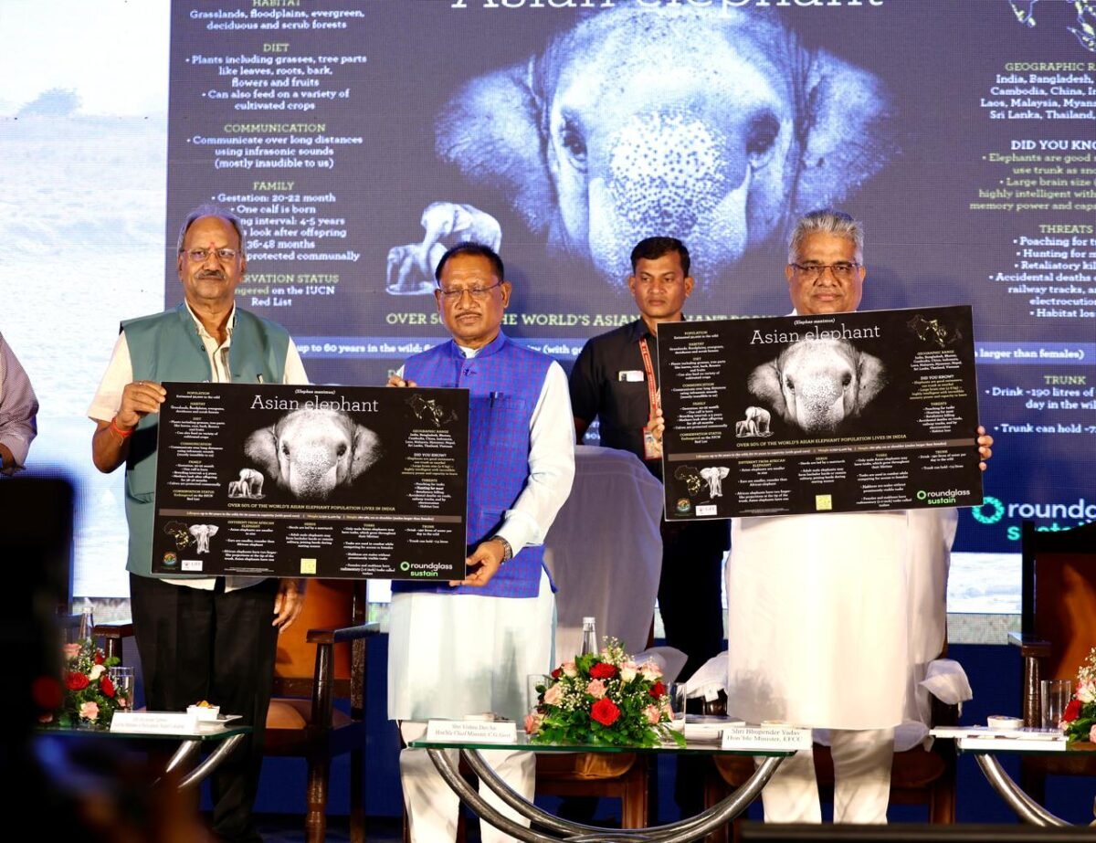 विश्व हाथी दिवस 2024: भारत की अग्रणी भूमिका और छत्तीसगढ़ का योगदान