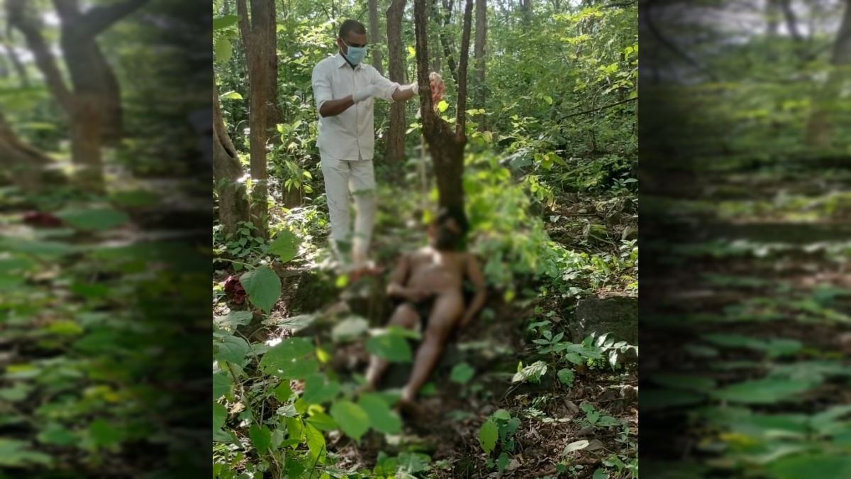 डौंडी में पेड़ से लटकी मिली सड़ी-गली लाश, हड़कंप मचा!