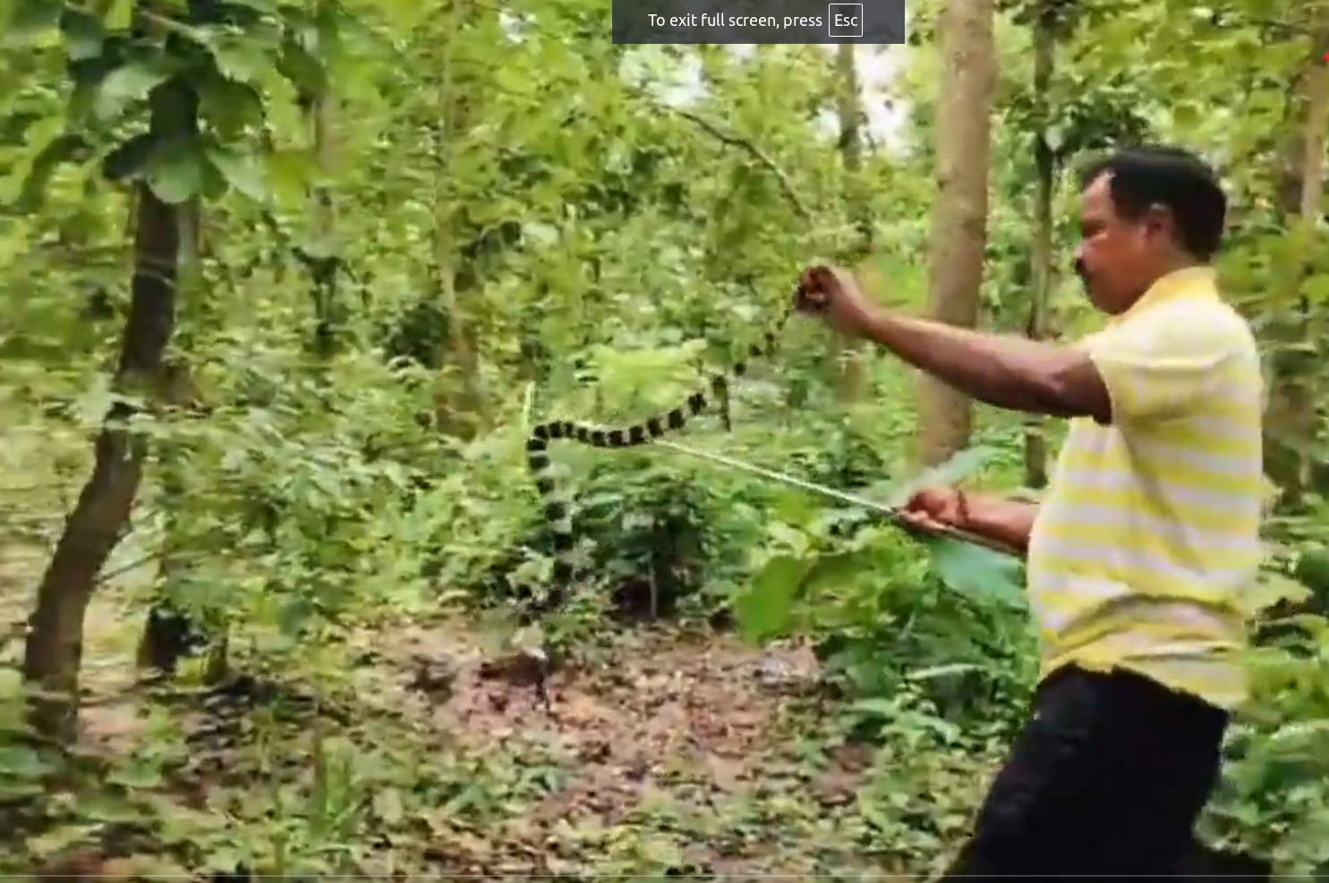 Dwarika Kol: Snake friend who spreads awareness for snake protection