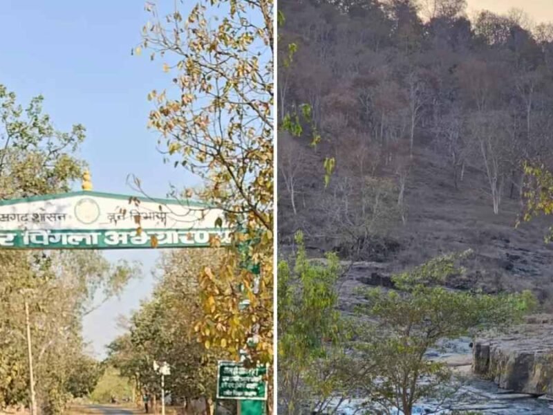 छत्तीसगढ़ में नया टाइगर रिजर्व: गुरुघासीदास-तमोर पिंगला बना देश का तीसरा सबसे बड़ा बाघ अभयारण्य